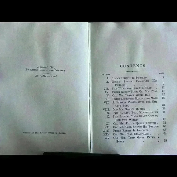 The Adventures of Old Mr. Toad 1929 - Picture 3 of 6